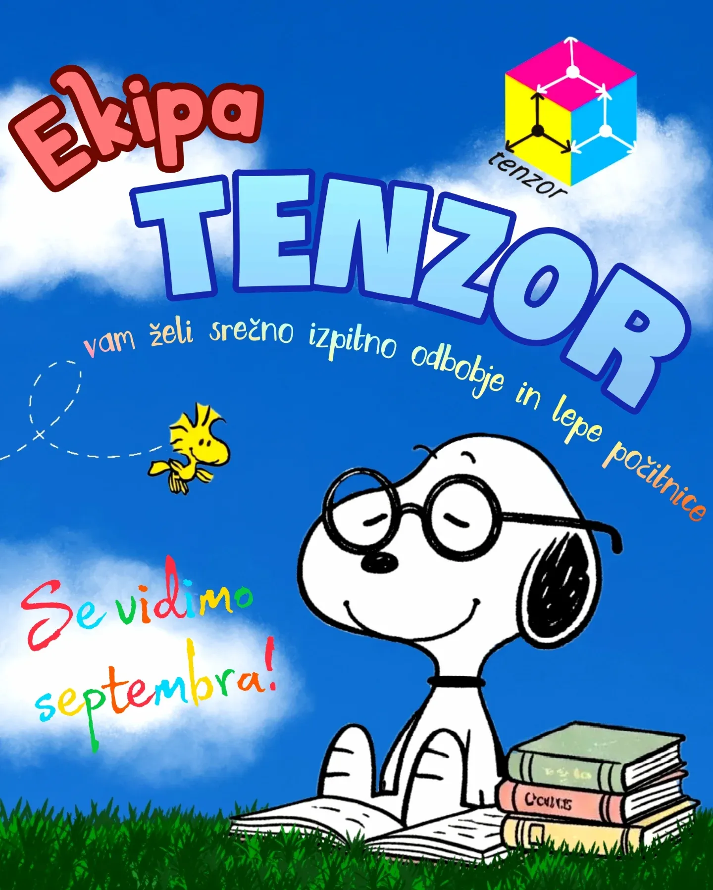 Tenzorjeva modra ilustracija z voščilom za srečno izpitno obdobje